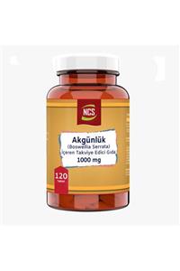 NCS Boswellia Serrata Akgünlük 1000 mg 120 Tablet