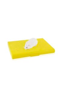 HN TEKSTİL Carno Hamster Yatağı Soğutucu Buz Torbalı 14x10x1cm