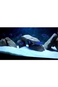 Albino Akvaryum Kumu Beyaz Silis 10 Kg Kalsit 1-1,2 Mm