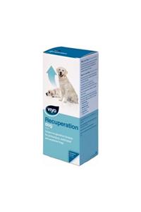 Viyo Recuperation Dog