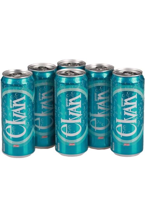 Elvan Gazoz Karışık Meyve Aromalı 330 Ml 6 Lı Paket