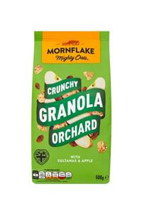 Mornflake Meyveli Granola 500 Gr