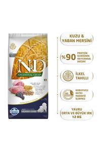 N&D Düşük Tahıllı Kuzulu Yaban Mersinli Yavru Büyük Irk Köpek Maması - 12 kg