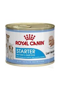 Royal Canin Starter Mousse Anne Ve Yavruları Için Köpek Konservesi 195 gr