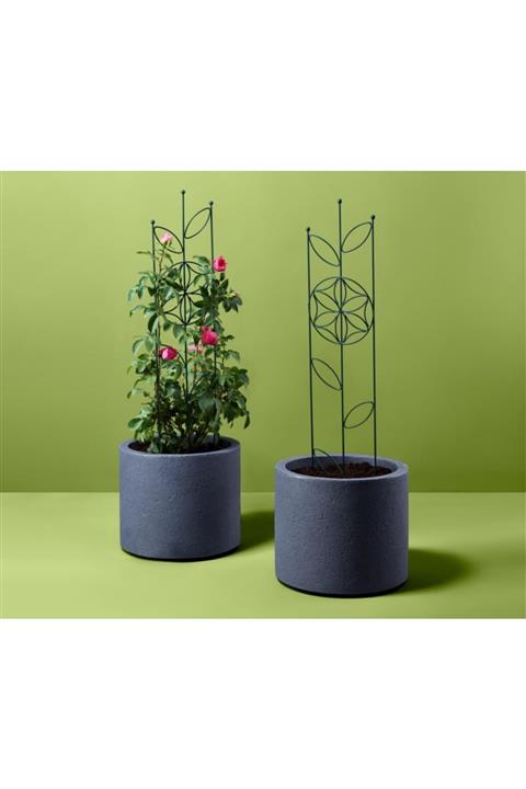 Tchibo 2 Dekoratif Bitki Tırmanma Teli