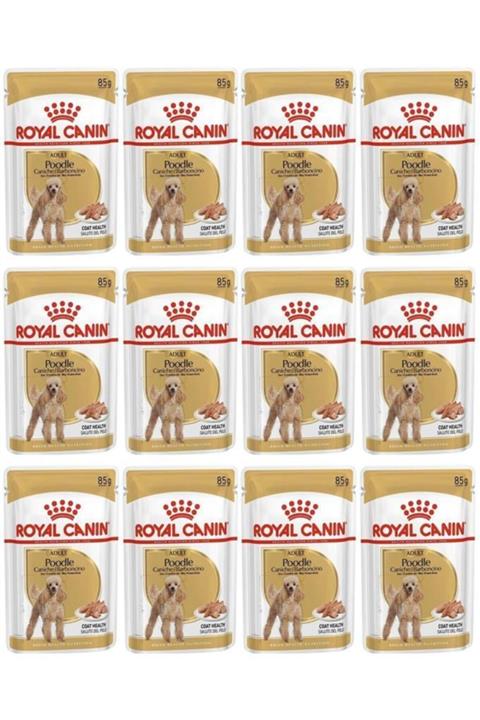 Royal Canin Poodle Tüy Sağlığı Destekleyici Yetişkin Köpek Konservesi 85gr 12 Adet