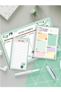 colortouch Greenery Ders Çalışma 3 Lü Defter Seti ( Haftalık Planlayıcı , Günlük Planlayıcı , To Do List )