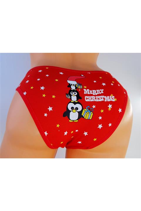 Spera Kadın Günlük Slip Yeni Yıl Baskılı 3'lü Paket