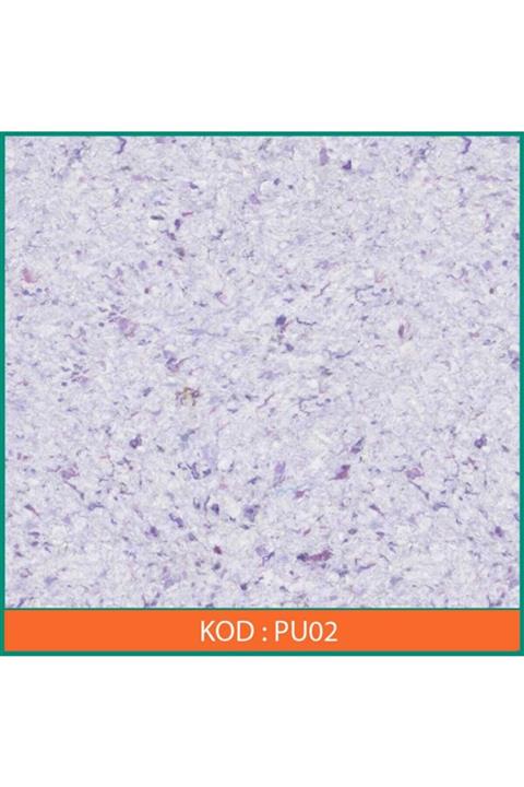 ventrawall Pamuk Duvar Boyası Isı Yalıtımlı Mor 1.5kg 5m² Canlı Sıva