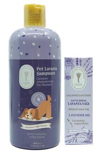 Dr. Lavender Antiseptik Lavanta Yağlı Köpek Şampuanı 400 ml + Terapi Saf Lavanta Yağı 10 ml