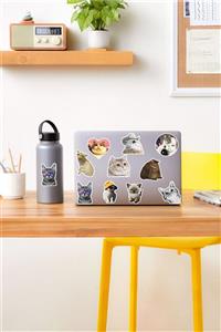 AR Sticker - Cats Temalı Laptop Notebook Tablet Sticker Set 1