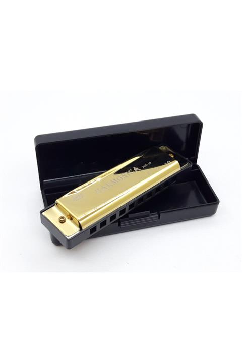 HARMONİCA Trendyıldızı 10 Hole Gold Mızıka