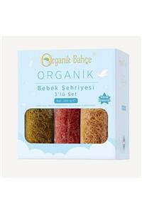 Organik Bahçe Organik Bebek Şehriyesi 3'lü Set 200 gr