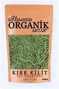 GLŞ ŞİFAHANEM ORGANİK AKTAR KırkKilit Otu ( At Kuyruğu ) Çayı 250 gr