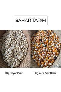 Bahar Tarım Beyaz Mısır 1 Kg + Yerli Mısır (darı) 1 Kg