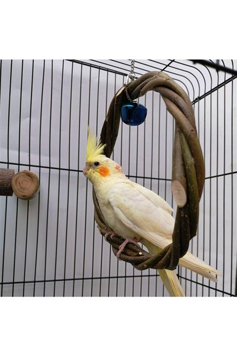 Ahşap Pusula Doğal Ağaç Halka Kuş Salıncağı