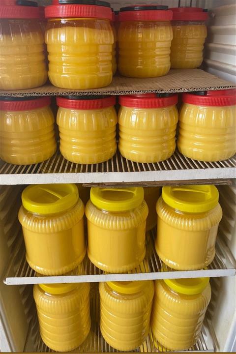 Zengi Baharat Şanlıurfa Organik El ve Ev Yapımı Sade Yağ 1 kg