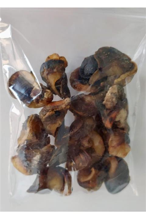 Kaya Av Madya Balık Yemi Tuzlu Madya