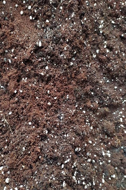 Gençalp Ucuzluk Pazarı Sukulent , Kaktüs ,bitki Toprağı Perlit Katkılı 10 Litre