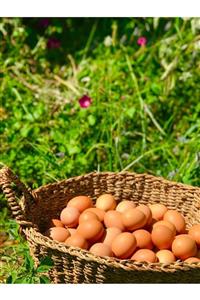 ŞanÇiftlik Denizli’den Organik-gezen Tavuk Yumurta 30’lu Büyük Boy (L)(BABADAG MOUNTAIN TAVUKCULUK)