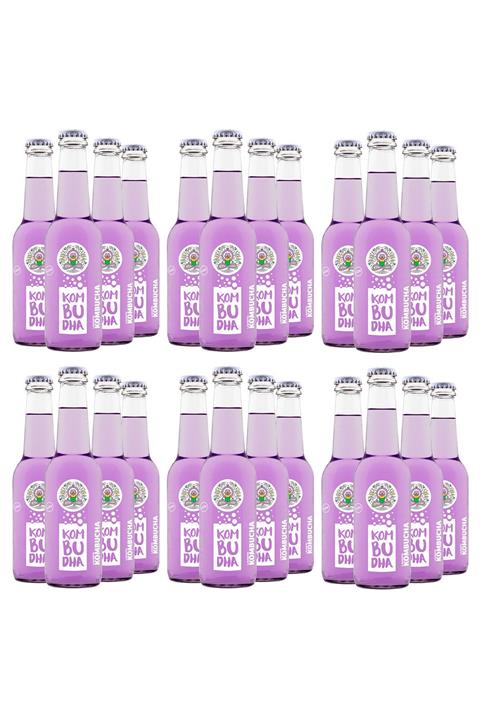 Kombudha Kombucha Luv X24