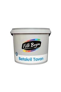 Filli Boya Betaril Tavan 17,5 kg
