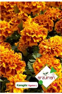 GüçlüTedarik Karagöz (tagetes L.) Çiçek Tohumu 50 Adet