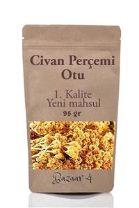 BAZAAR 4 Civan Perçemi - Civanperçemi Otu 95 Gr 1.kalite Taze Yeni Mahsül