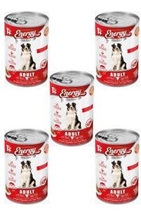 Energy Dog Food Sığır Etli Yetişkin Islak Köpek Maması 5'li – 400 G