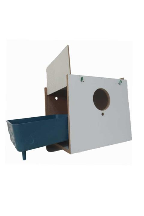 GreenPet Muhabbet Kuşu Yavruluğu