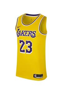 Nike AA7099-741 Lebron James Icon Edition Swingman Lakers Forma