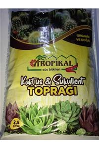 YEŞİLİMARKET Tropikal Kaktüs Sukulent Toprağı 2,5 Lt (organik Ve Doğal)