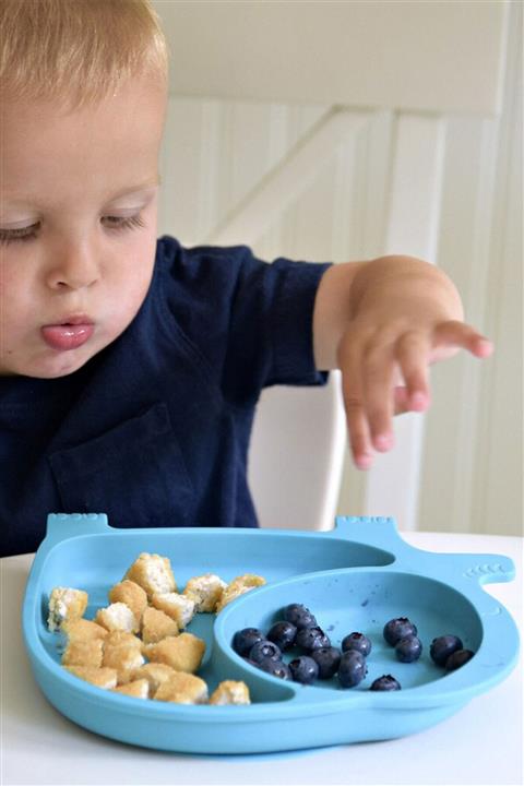 FERHOME Fil Model Mama Tabağı Seti Bölmeli Bebek Sofra Mutfak Çocuk Yemek Takımı