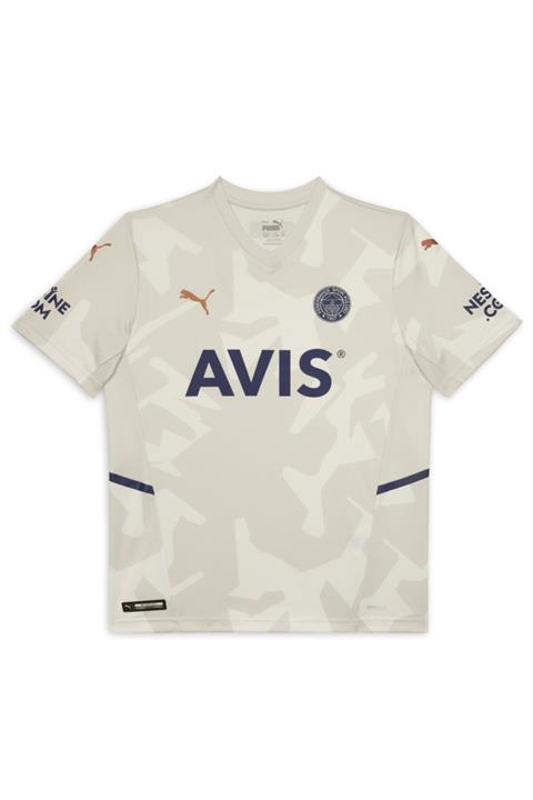 Fenerbahçe 767010-02 Puma Fsk Away Shirt Replica Jr Glacier Gray-p Çocuk Forma Gri