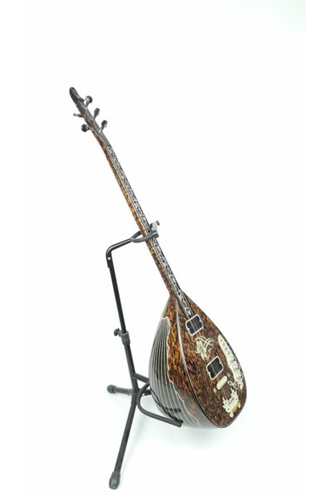 MASTERWORK Elektro Baglama