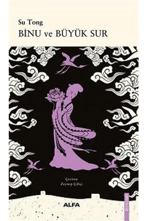 Alfa Yayıncılık Binu Ve Büyük Sır