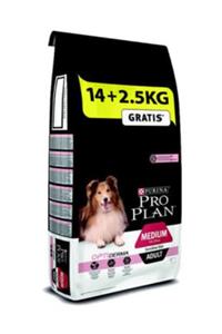 Proplan Somonlu Hassas Yetişkin Kuru Köpek Maması 14+2,5 Kg