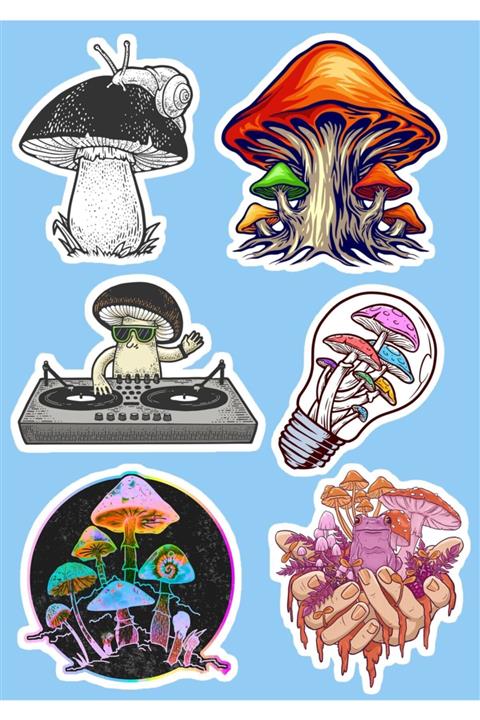 SilverStickers Mantar Temalı Laptop Notebook Kask Çanta Sticker Etiket Seti