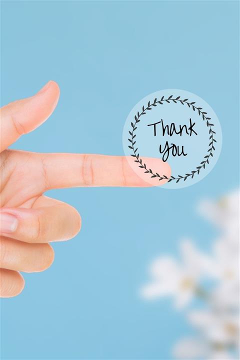 Funbou Şeffaf Sticker, Thank You / 2 Sayfa