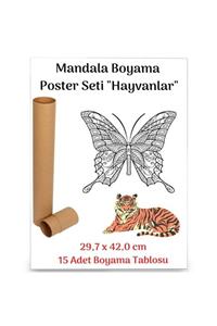 Enine Boyuna Eğitim Mandala Poster Tablosu 15 Adet (30 Cm X42 Cm)