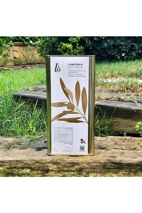 Lamponia 5 Lt. Birinci Zeytinyağı