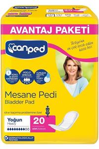 Canped Mesane Pedi Avantaj Paket Klasik L-büyük Boy Yoğun 20 Adet