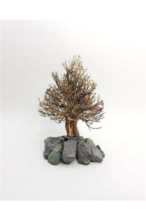 Sakura Çam Ağacı Figürü 's'