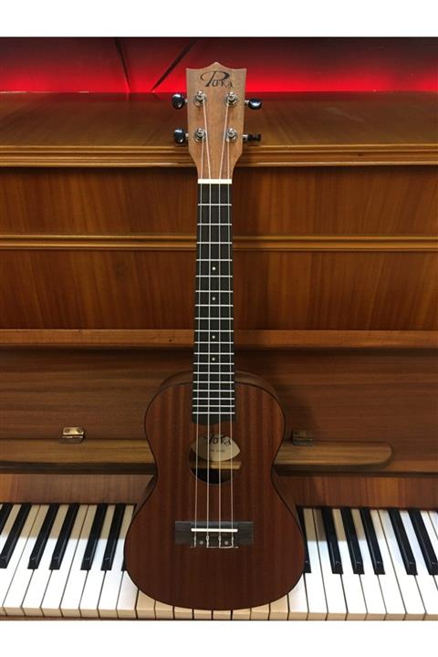 PUKA Ukulele Concert Boy