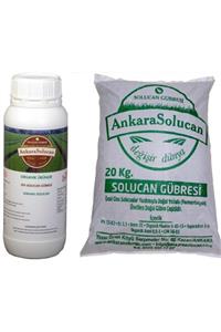 ANKARA SOLUCAN Katı 20.kg + Sıvı 1.lt Solucan Gübresi