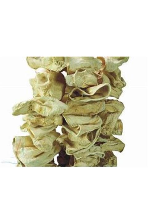 Merdef Dolmalık Kabak Kurusu