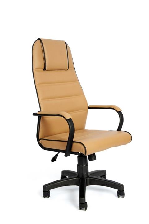 Microfis Yönetici Müdür Makam Deri Çalışma Koltuğu Tunamüdür-210