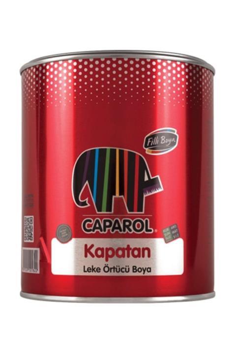 HIRDAVATÇIM06 Filli Boya Caparol Kapatan Leke Örtücü Boya Kurşunsuz Mat 0.75lt