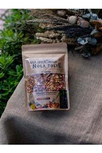 nolatolye El Yapımı Tropikal Meyve Granola