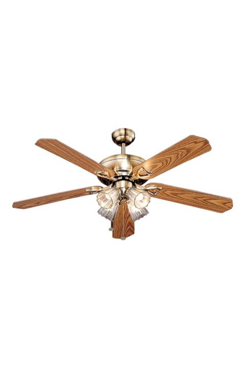 Kaşkar / Taflan Tavan Vantilatörü M52022l